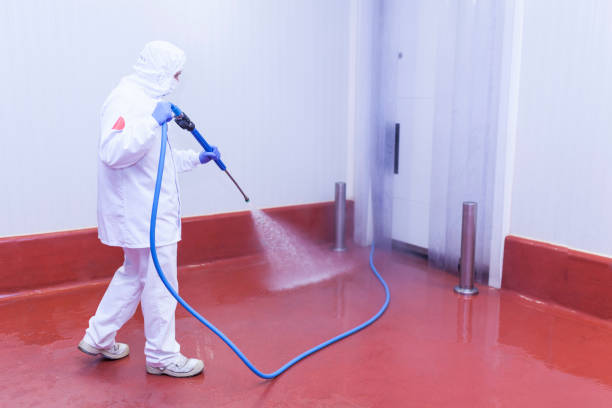 Best Paint Preparation  in Burnsville, MN